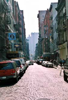The iron canyons of Soho, studded with ultra trendy boutiques and restaurants.